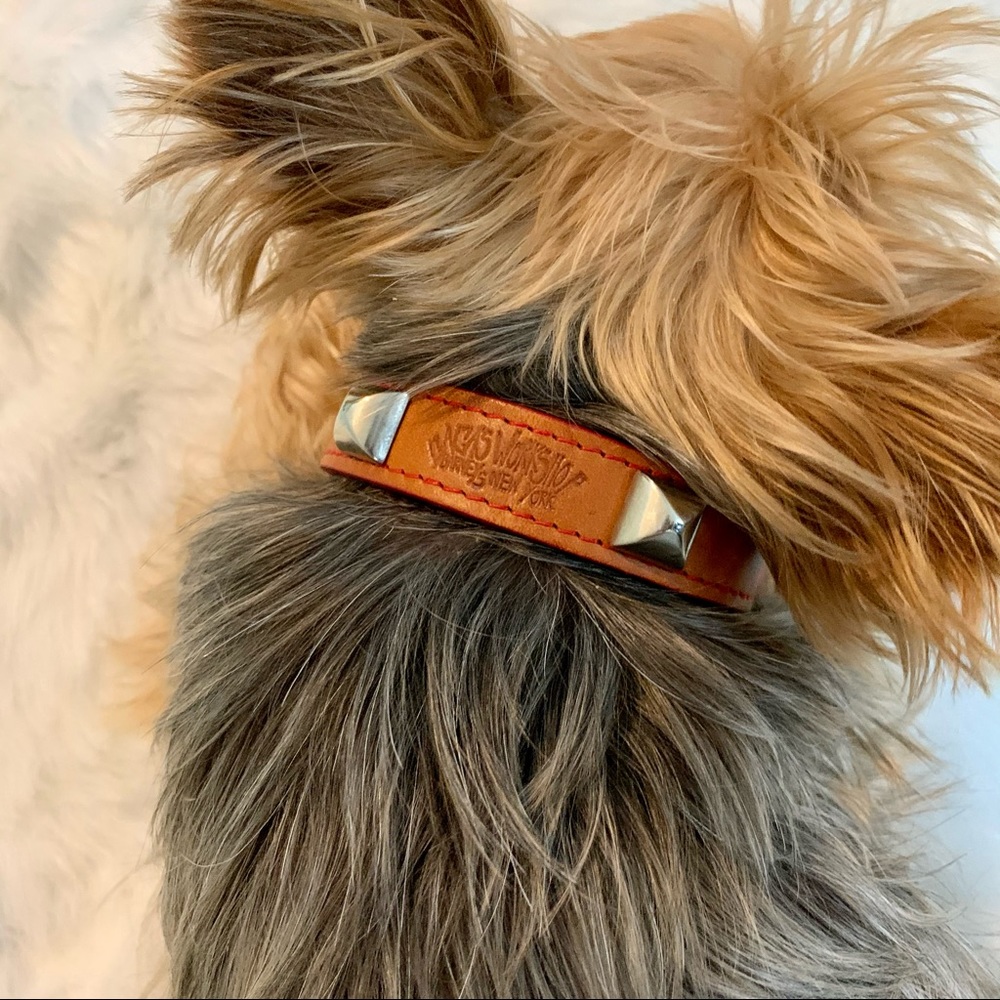 RARE Lady Gaga Studded Dog Collar from Barney’s NY